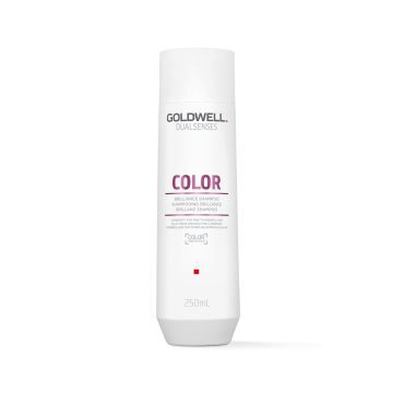 Goldwell Dualsenses Color Brilliance Shampoo 250ml